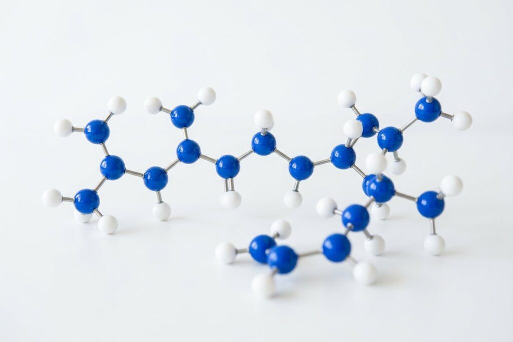 Peptide bonds explained: how amino acids form peptides